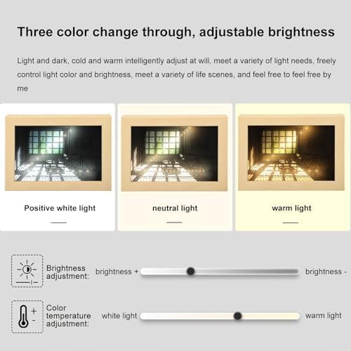 Customizable LED Light Painting Wall Art and Sunset LED Night Light Painting Light Art Decor, Bedside Lamp for Nightstand
