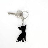 Pet - Keychain (Pack of 4 piece)