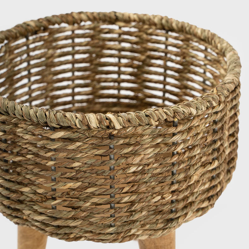 Jute - Planter