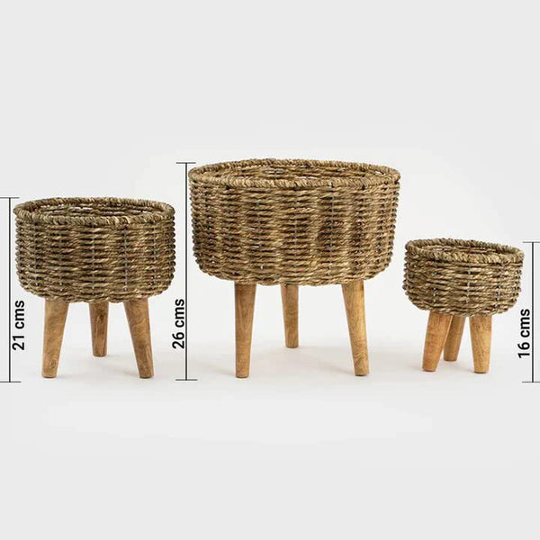 Jute - Planter