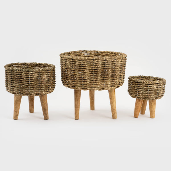 Jute - Planter