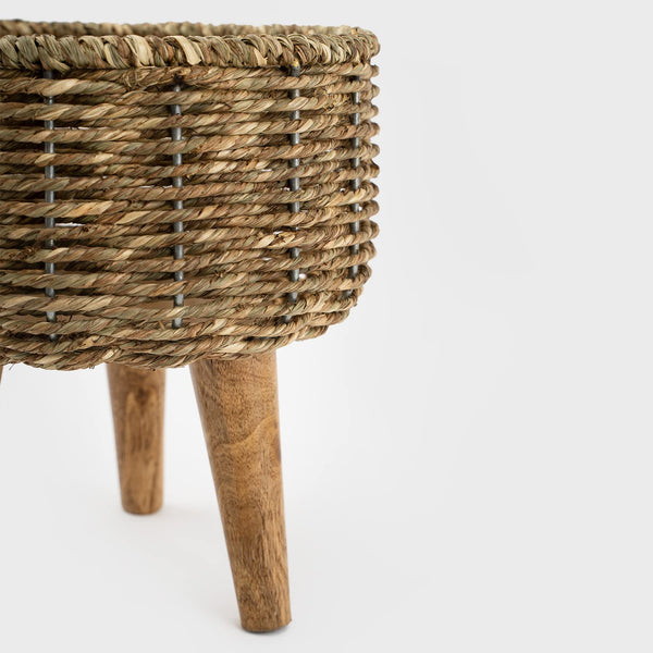 Jute - Planter
