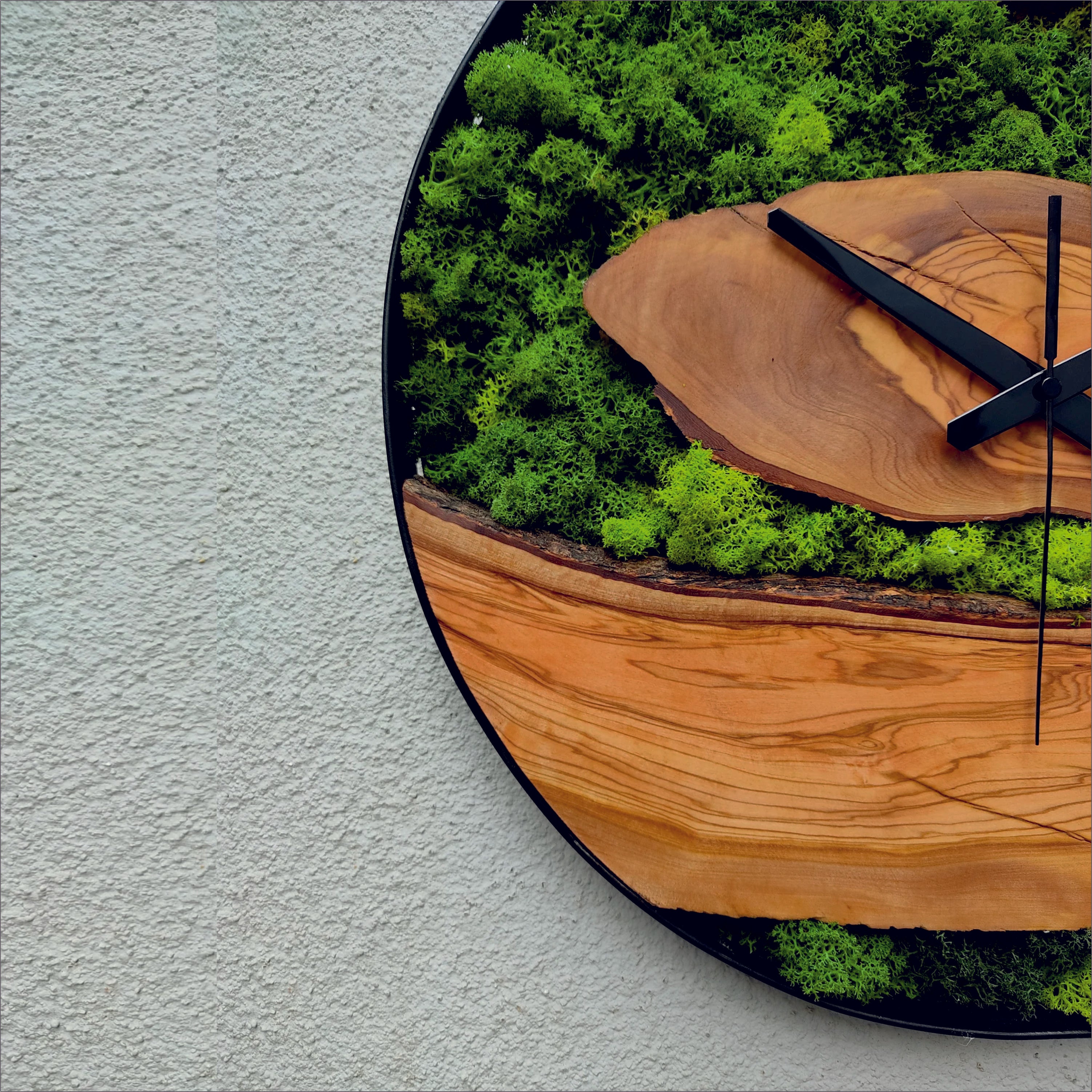 Moss Bark Wood - Wall Clock